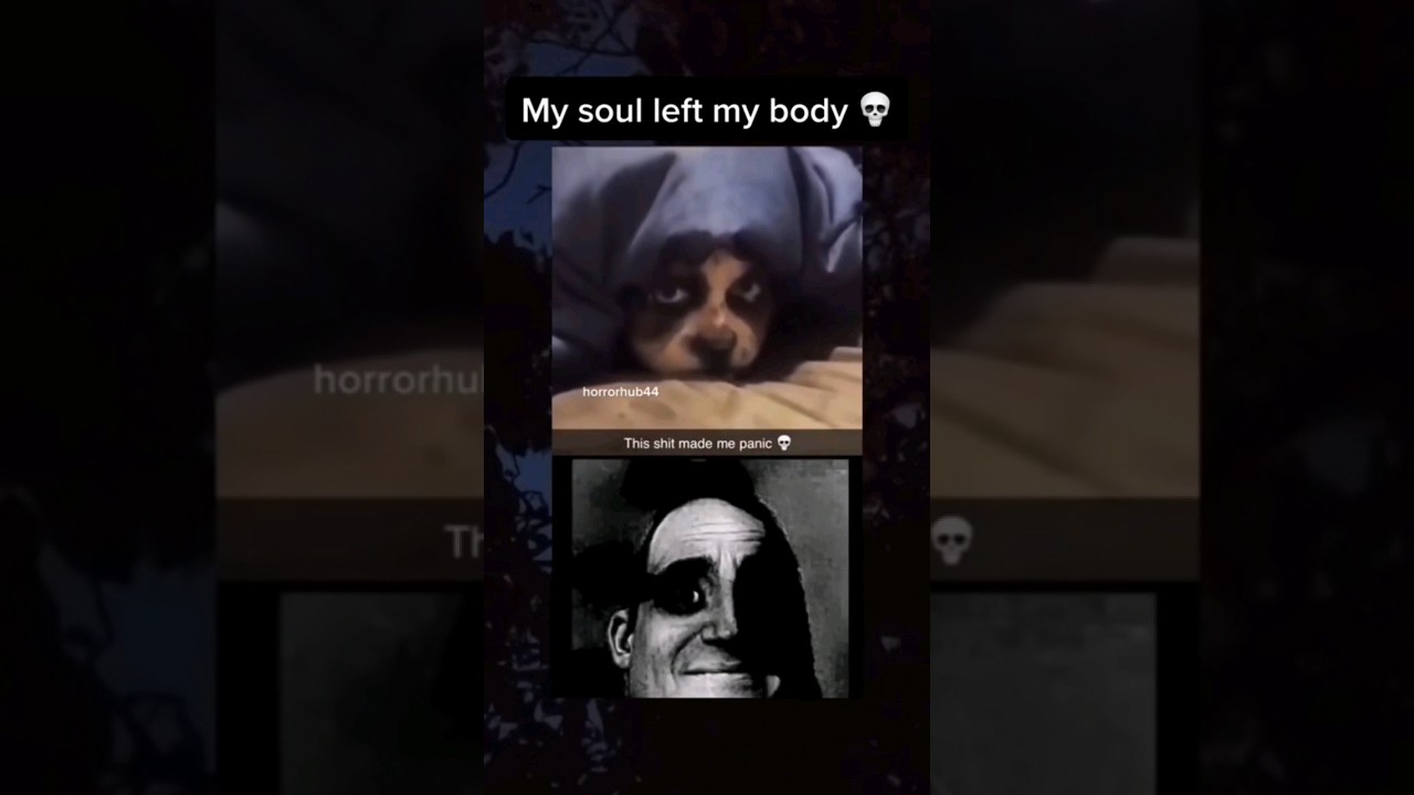 Skinwalker disguised as a dog?! 😱 #skinwalker #skinwalkers #creepy