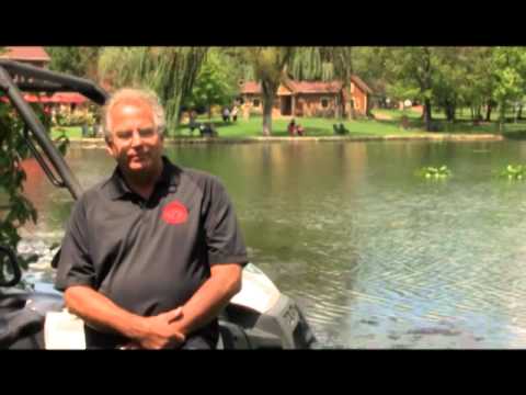 The Property and History of Gervasi Vineyard
