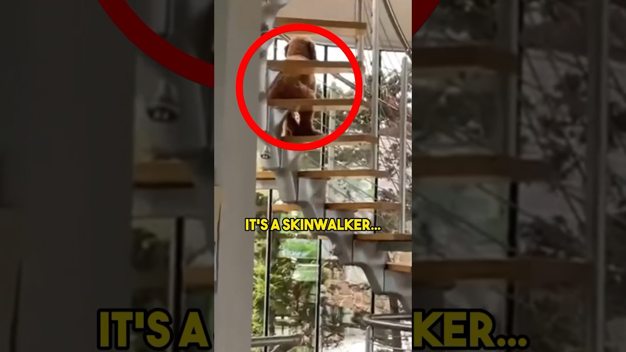 SKINWALKER Pretends to be His Dog…