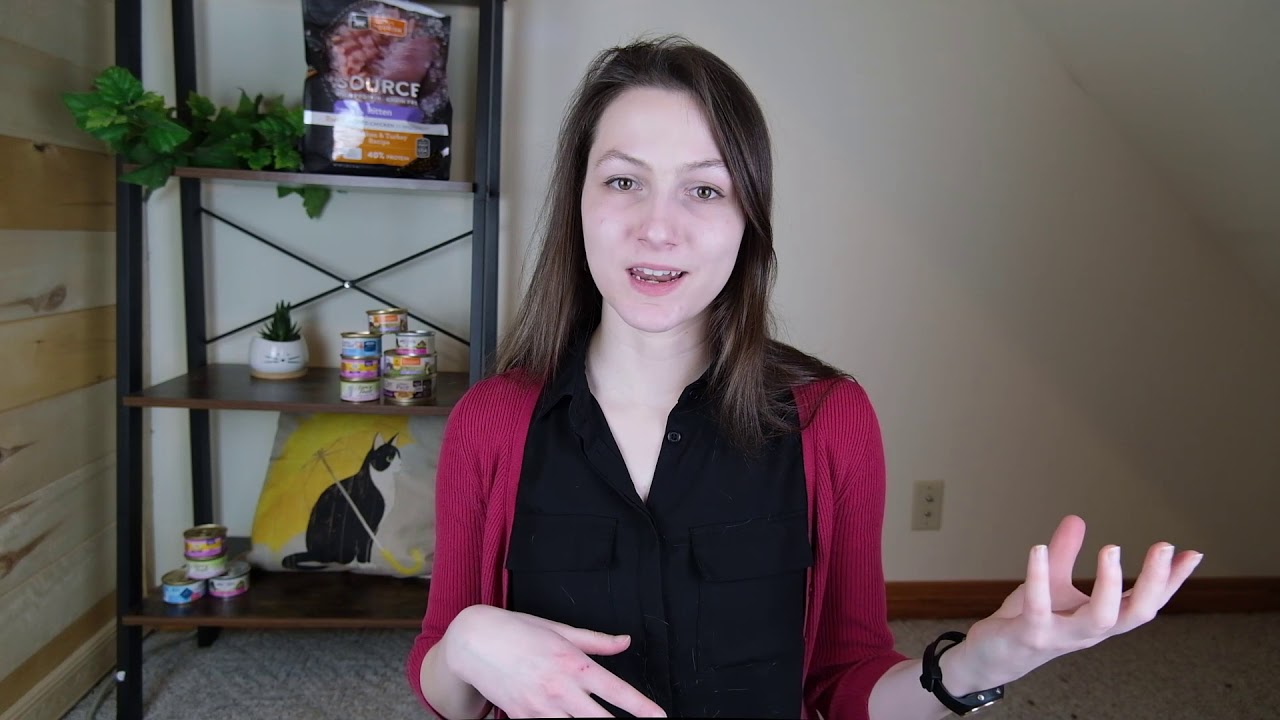Top 7 Best Kitten Foods (We Tested Them All)