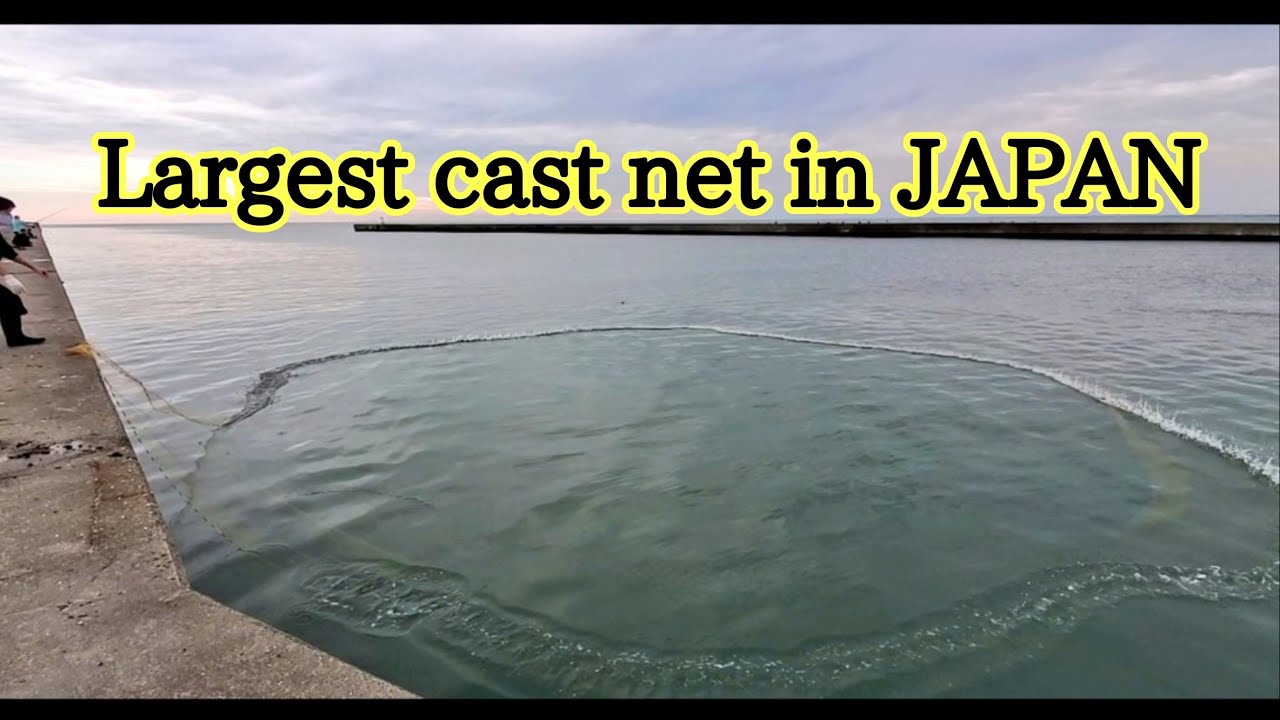 Amazing big cast net fishing in japan - largest 30 feet - pesca de tarrafa