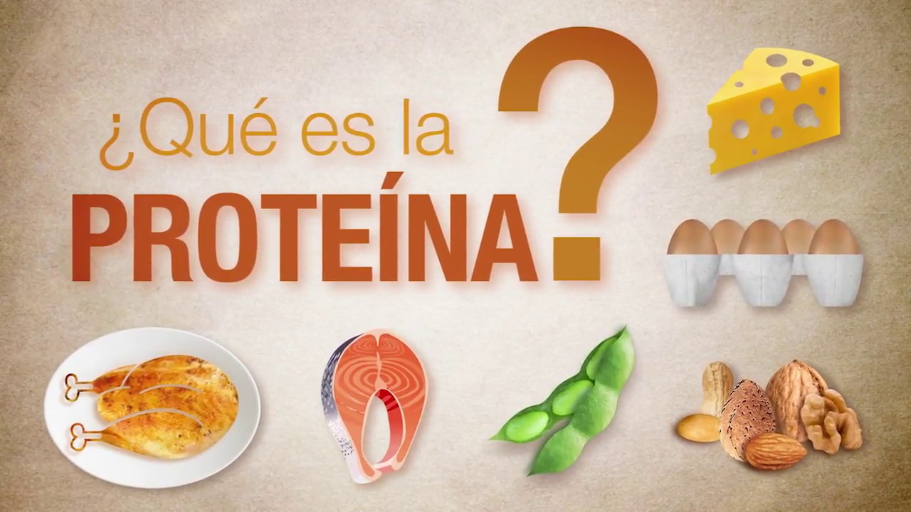 ¿Qué es la proteína?