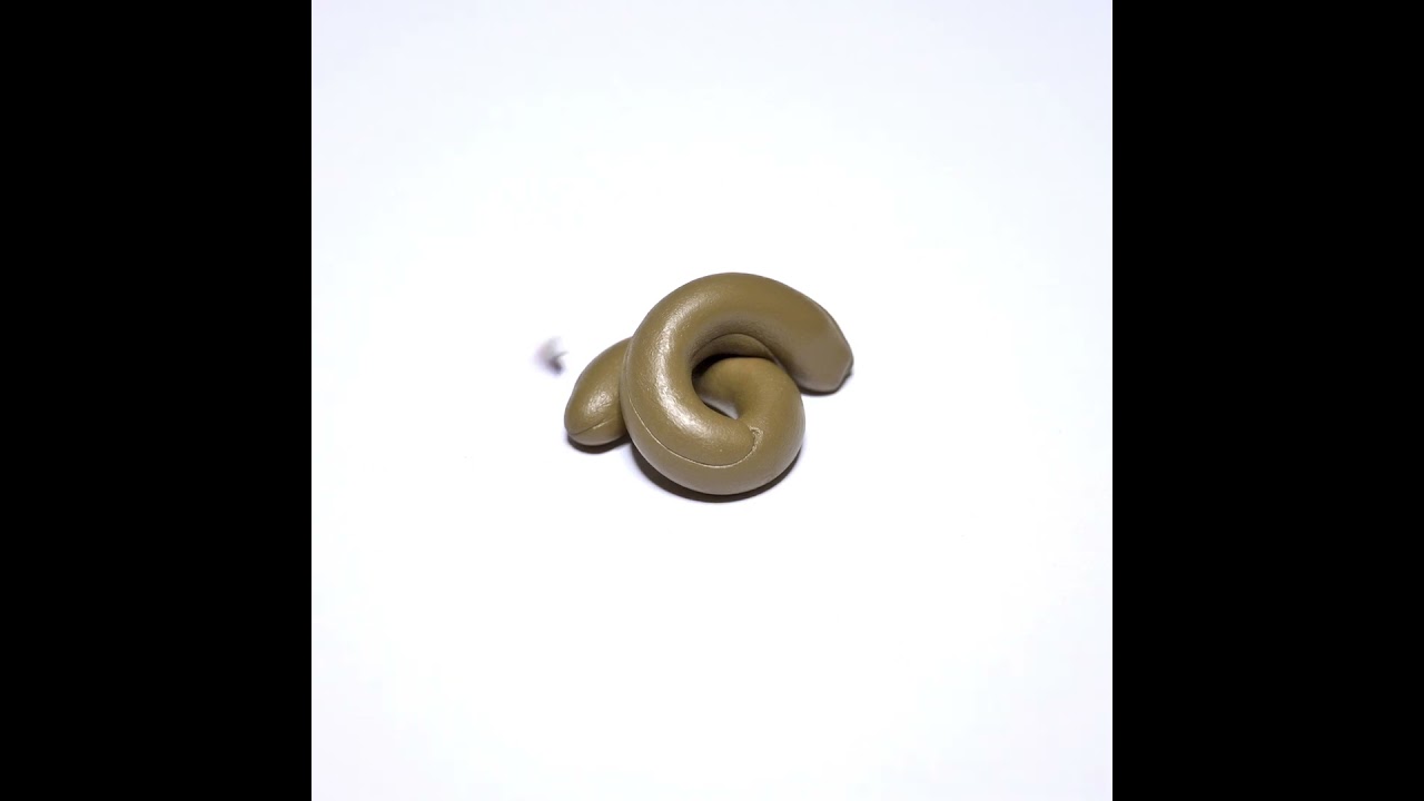 SH¡T VIDEO - Video de mierda | Jumping fly - Mosca saltarina #caca #1minutevideo #fly #videoviral