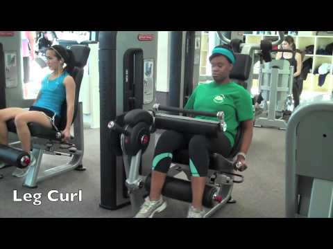 Leg Curl/ Leg Curl Machine