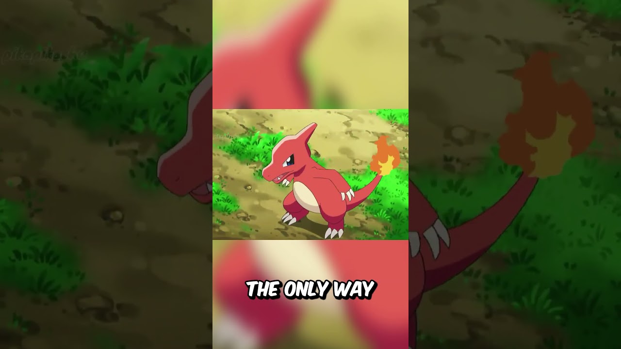 How Ash's Charmander Evolved #shorts #pokemon