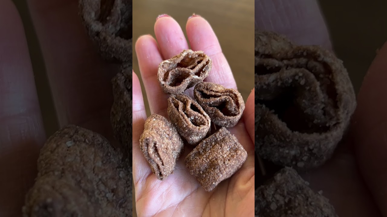 Trying to eat just one Turtle Chip
