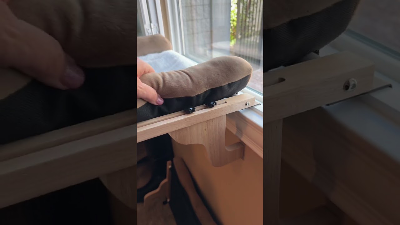 This Cat Window Perch is Already a Favorite!