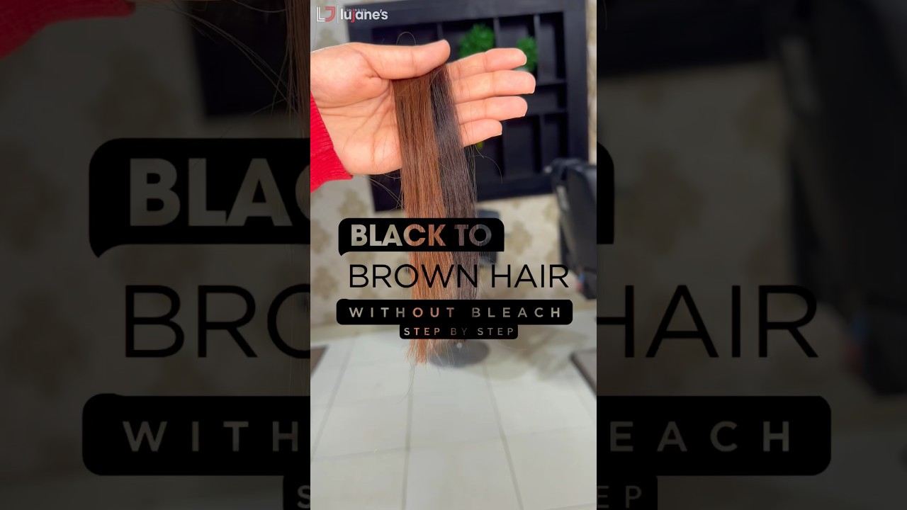 Black Hair to Brown Hair | Without Bleach #haircolor #youtubeshorts #shorts
