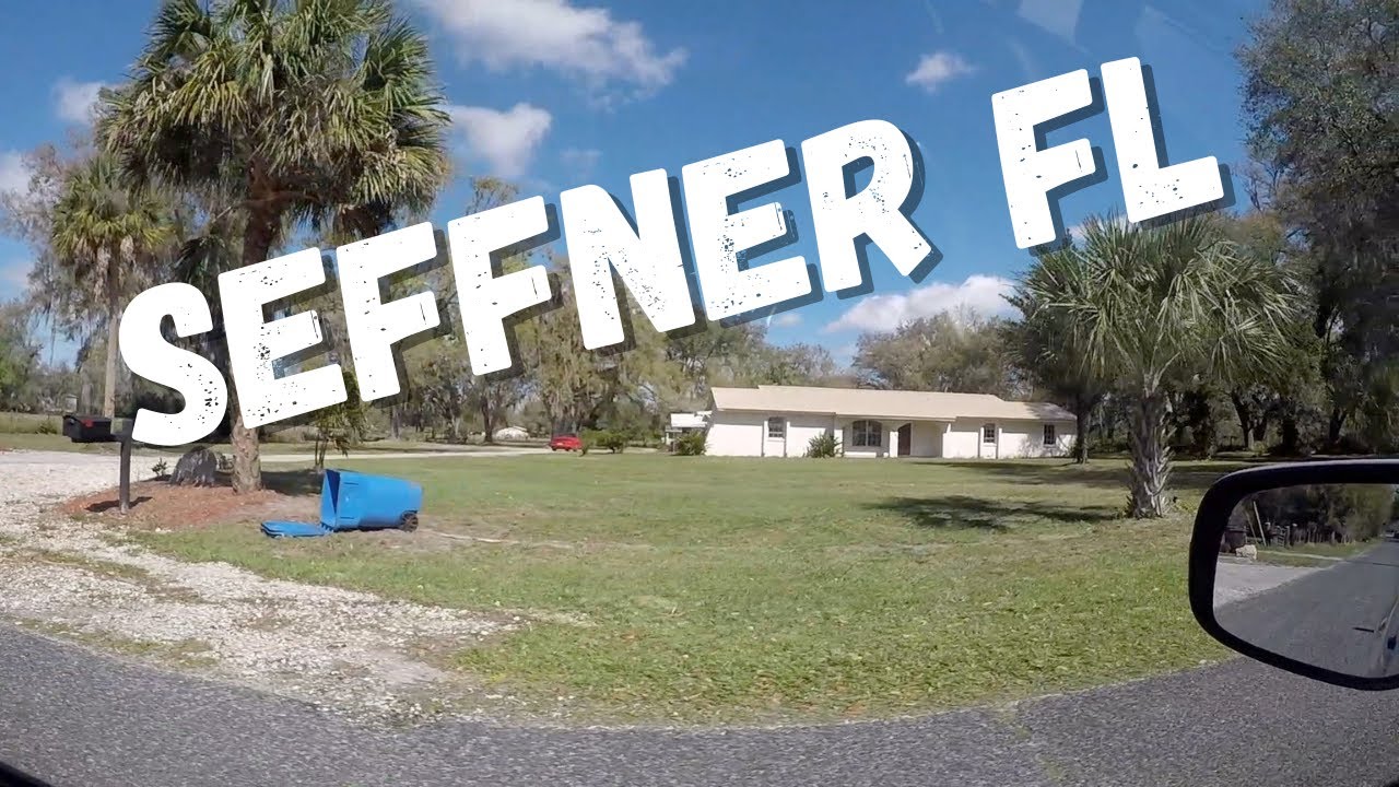 SEFFNER FLORIDA 2021 (METHNER)