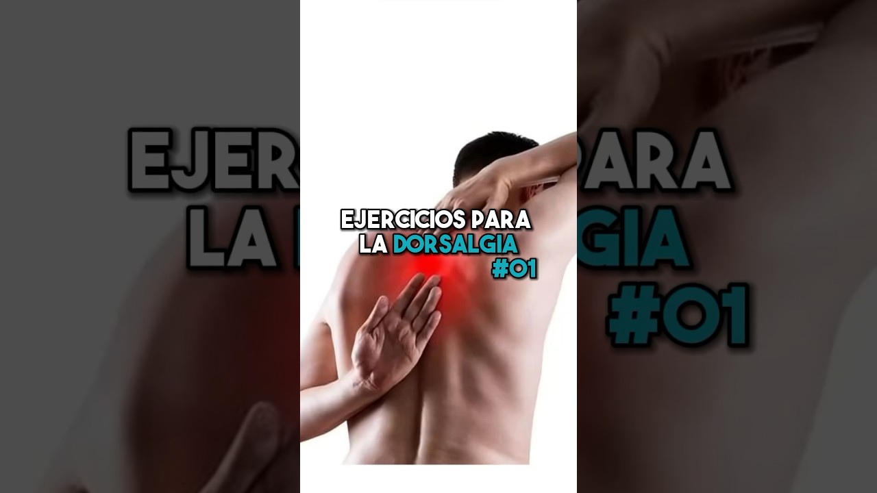➡️Ejercicios para la dorsalgia P1 #fisioterapiatualcance