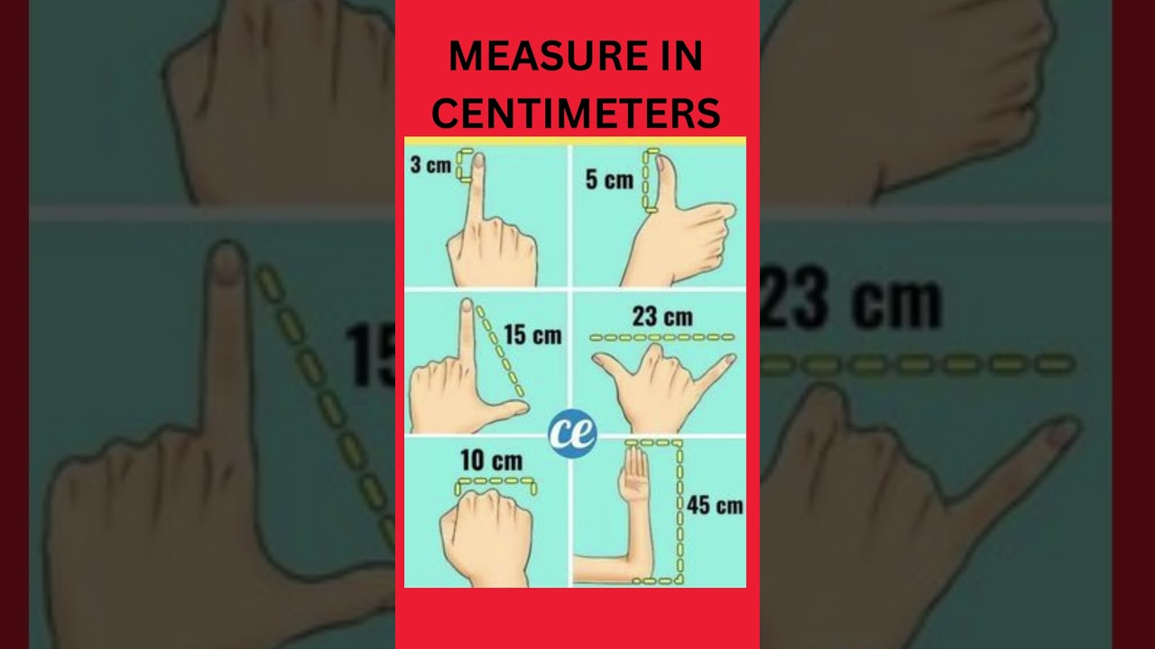 Quick and Easy Way: How to Measure in Centimeters Using Your Fingers #guess#shorts #centimeter #how