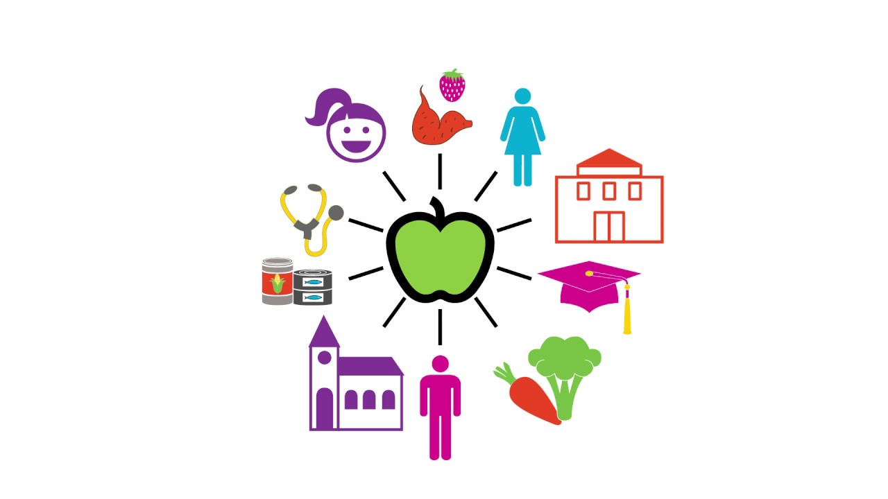 About The Houston Food Bank