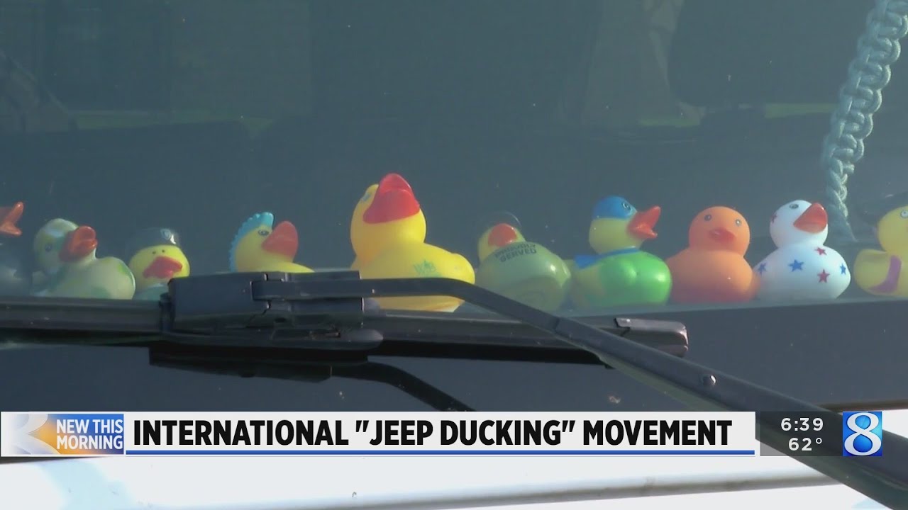 Ducks on the dash: Jeep ducking continues to grow in popularity