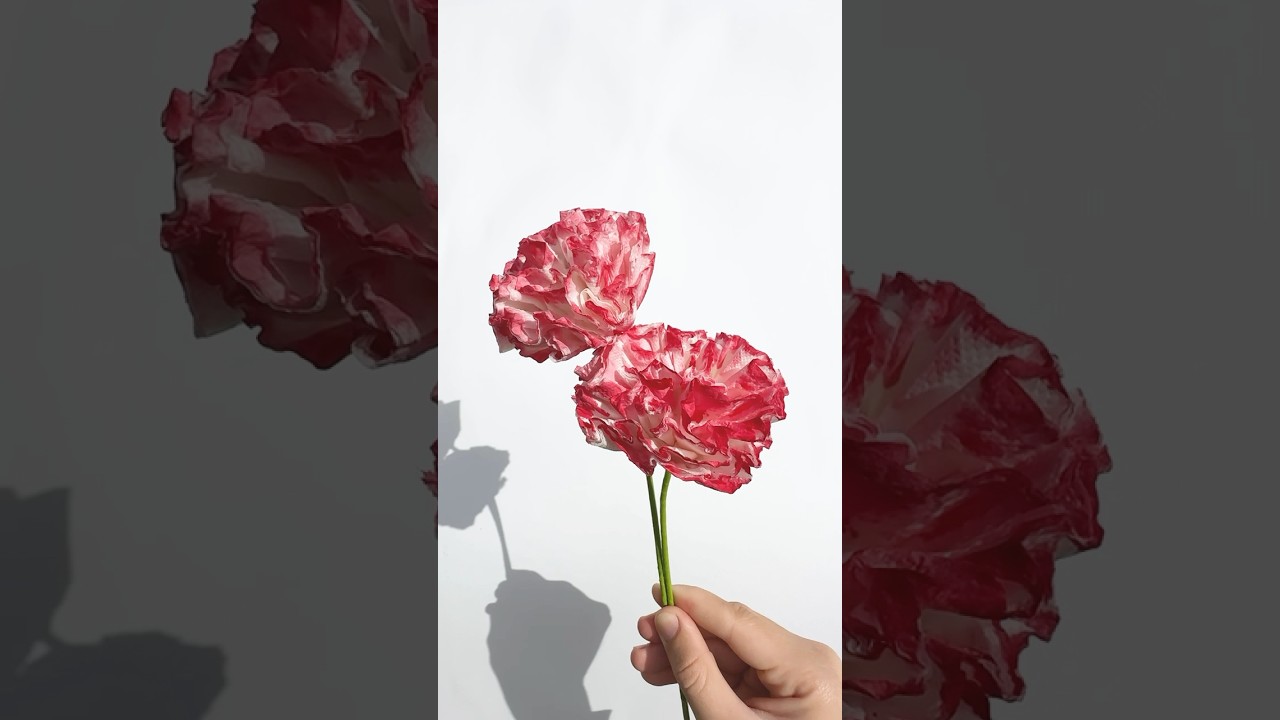 How to make a Carnation flower DIY paper flower