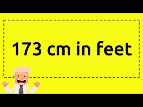 173 cm in feet