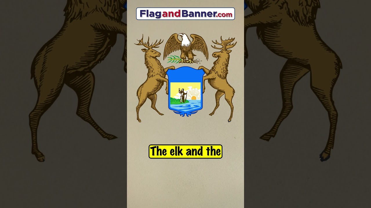 The Michigan Flag Explained | Flag Facts #michigan #history #flag #usa #vexillology