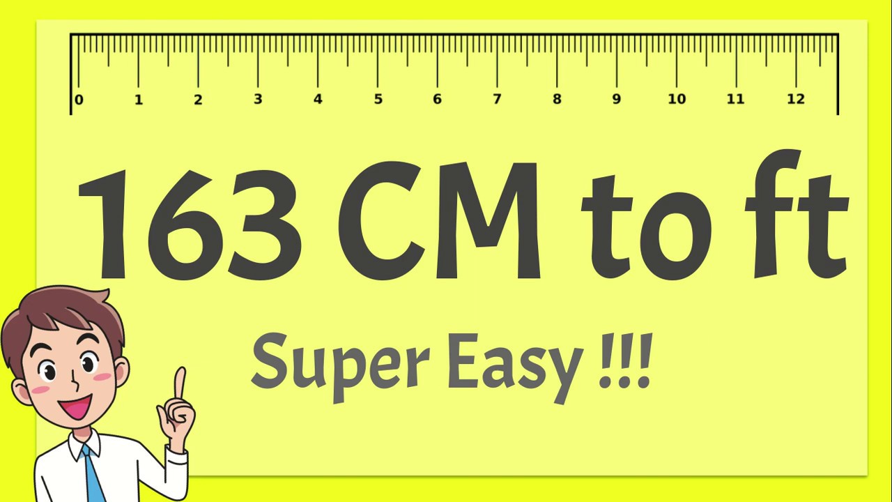 163 cm in feet