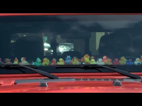 Why do Jeeps have little rubber ducks on the dashboard?